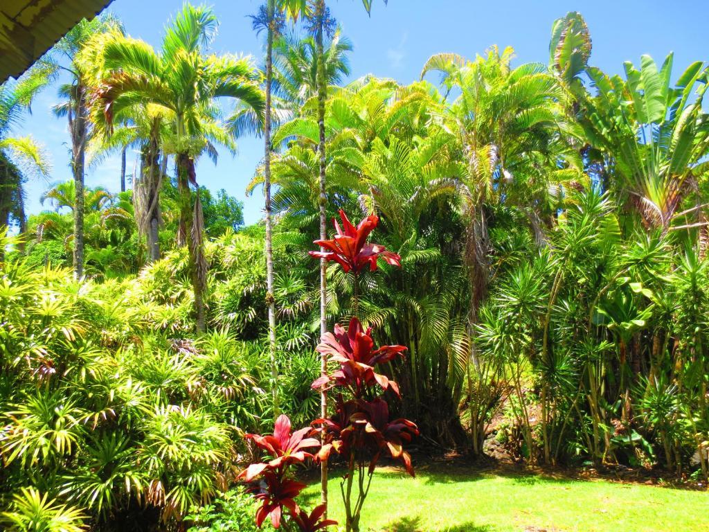 Maureen'S Bed And Breakfast Hilo Zewnętrze zdjęcie
